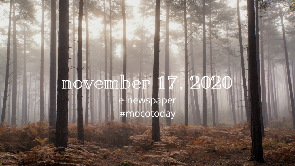 November 17, 2020