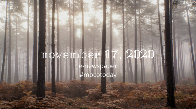November 17, 2020